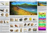 org_b1_fossildiagenese_2.jpg Produktbild des Artikels Poster: Fossildiagenese – Beispiele für Erhaltungsformen von Fossilien