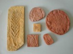 org_c010.jpg Produktbild des Artikels Ediacara Sammlung