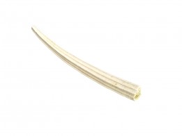 Dentalium sexangulum