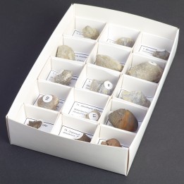 Fossilpaket Brachiopoden Eifel