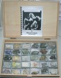org_p1_2.jpg Produktbild des Artikels Wichtige gesteinsbildende Mineralien