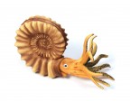 org_c_8400.jpg Produktbild des Artikels Ammonit in Lebenddarstellung