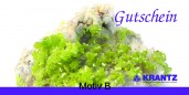 org_motiv_b-gutschein-2-2017_mineral_kopie_1.jpg Produktbild des Artikels Gutschein 2