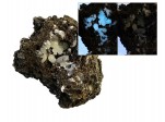org_calcit_in_lava_uv_01a_montage.jpg Produktbild des Artikels Calcit in Lava (UV)